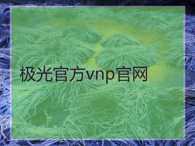 极光官方vnp官网