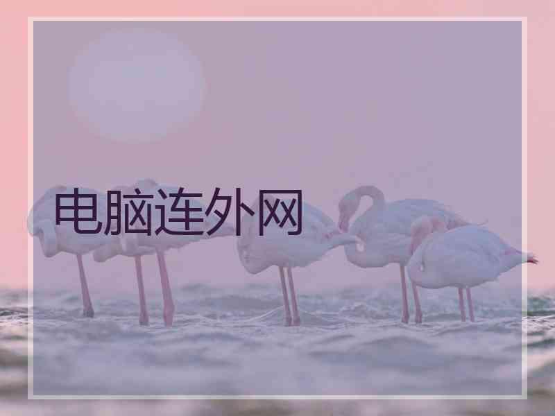 电脑连外网