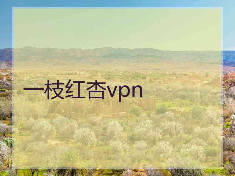 一枝红杏vpn