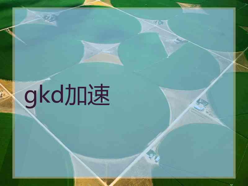 gkd加速