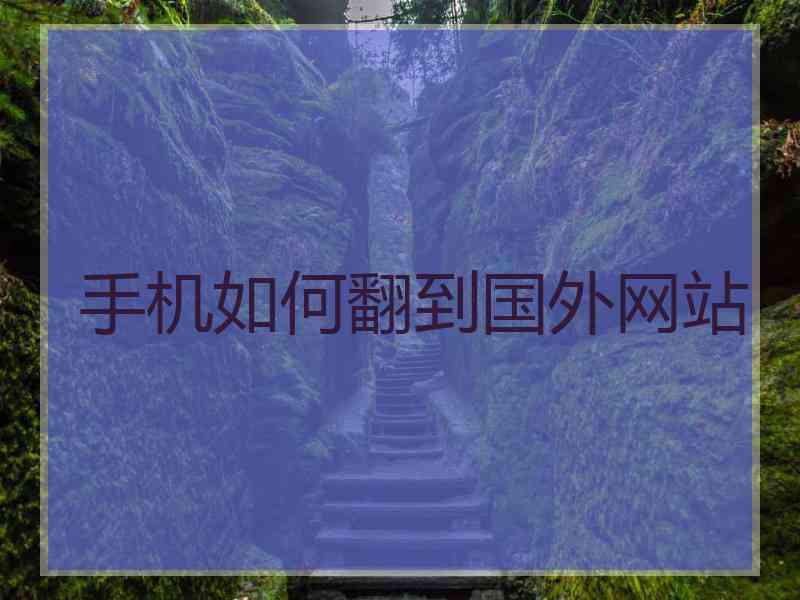 手机如何翻到国外网站