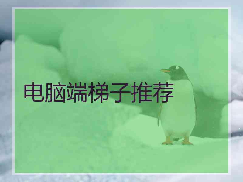 电脑端梯子推荐