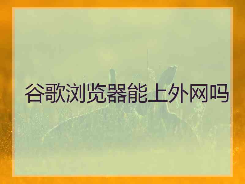 谷歌浏览器能上外网吗