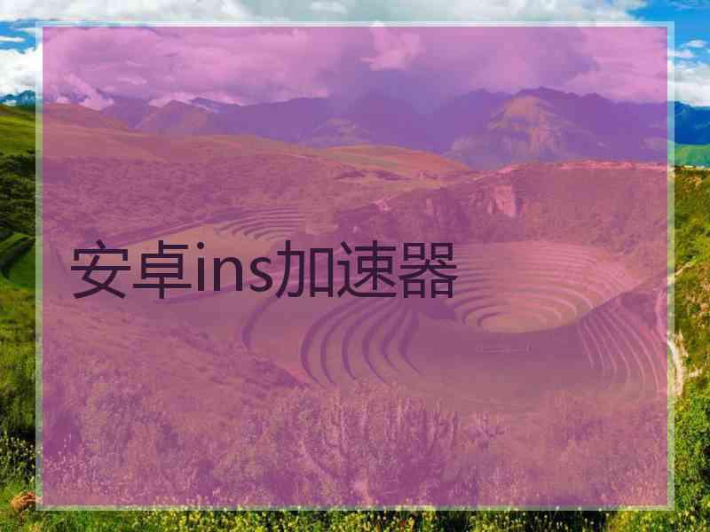 安卓ins加速器