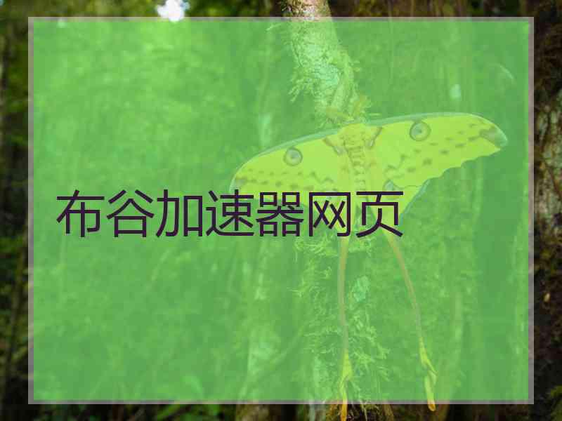 布谷加速器网页