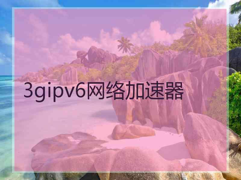 3gipv6网络加速器