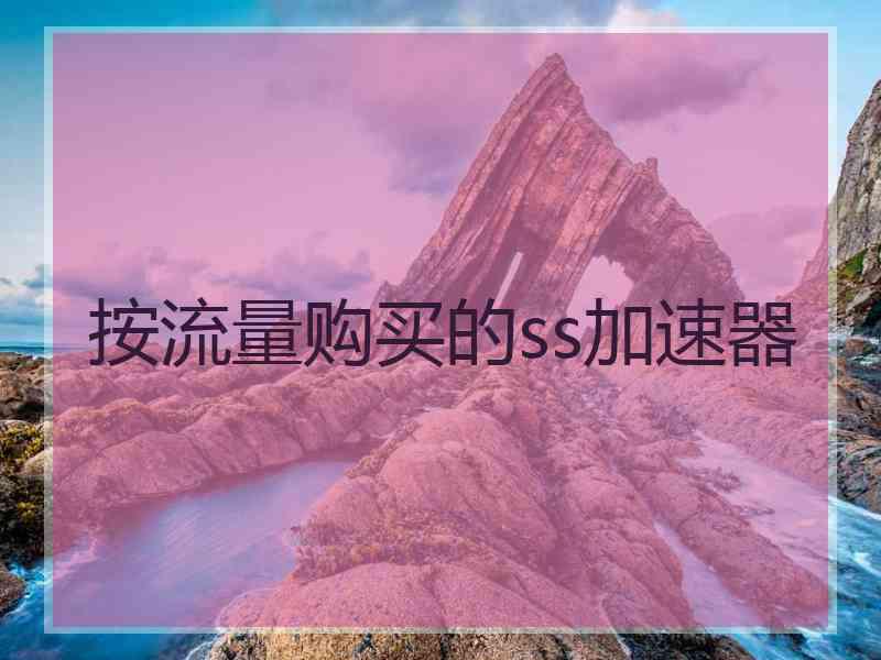 按流量购买的ss加速器