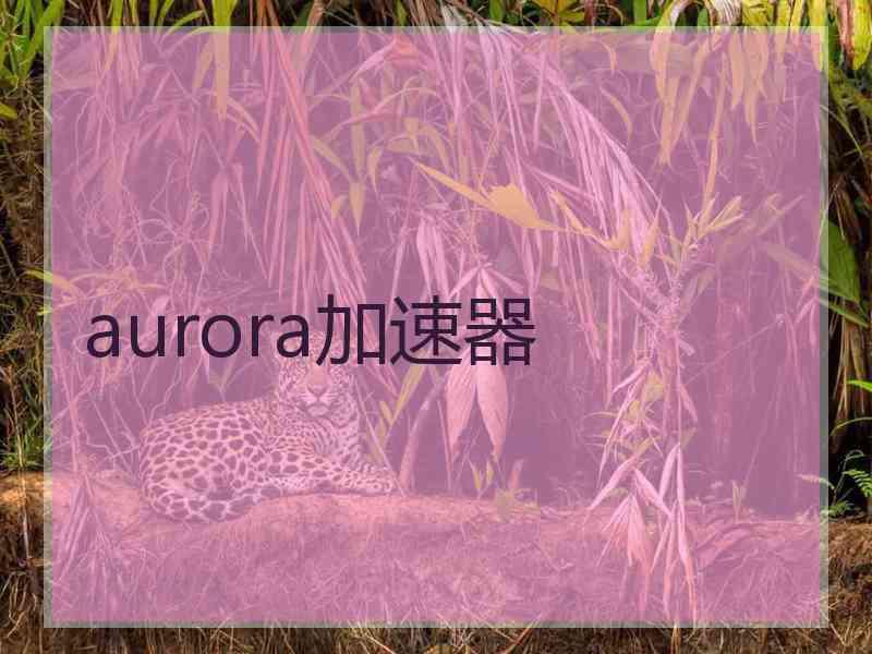 aurora加速器