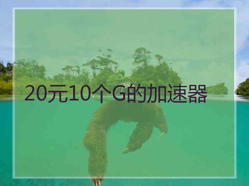 20元10个G的加速器