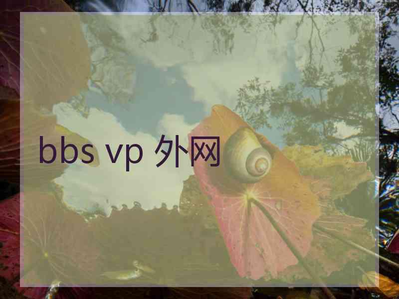 bbs vp 外网
