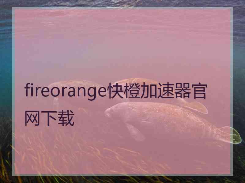 fireorange快橙加速器官网下载