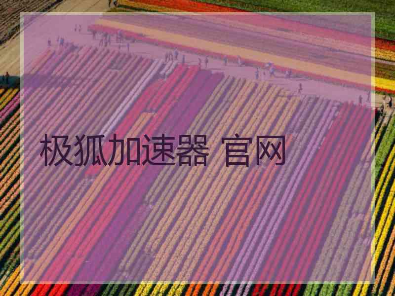 极狐加速器 官网