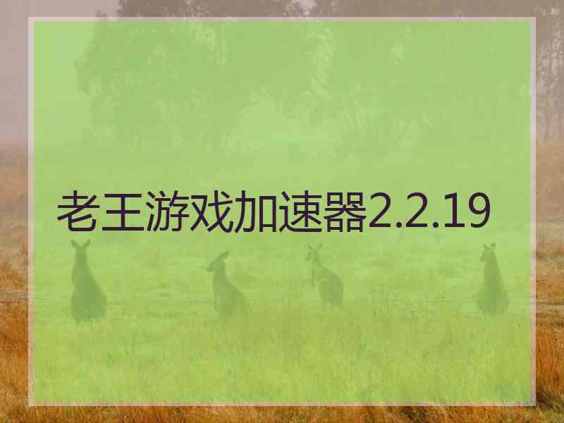 老王游戏加速器2.2.19