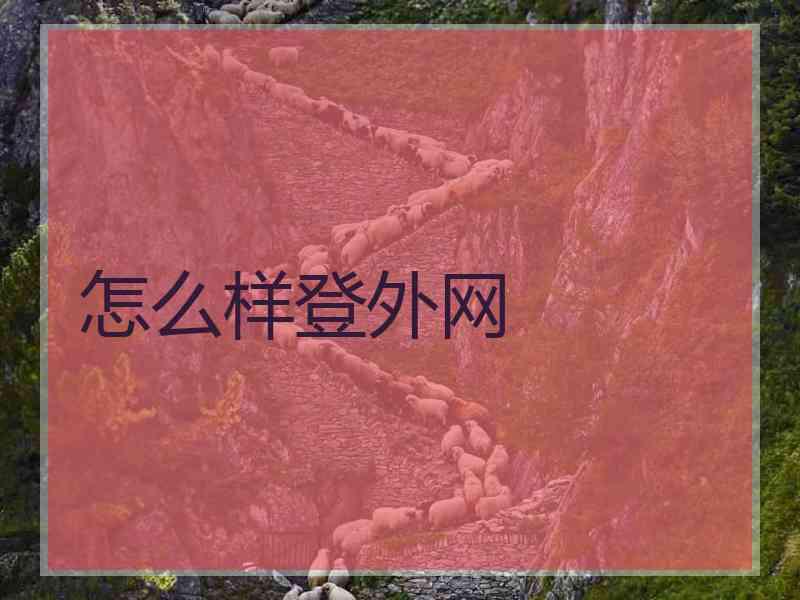 怎么样登外网