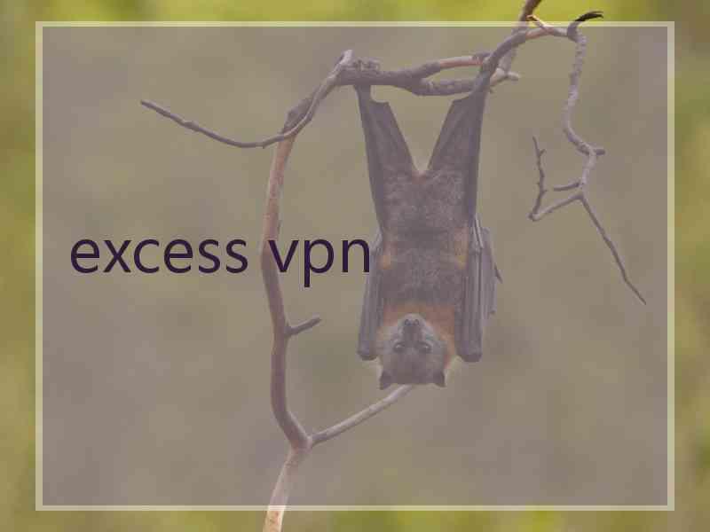 excess vpn