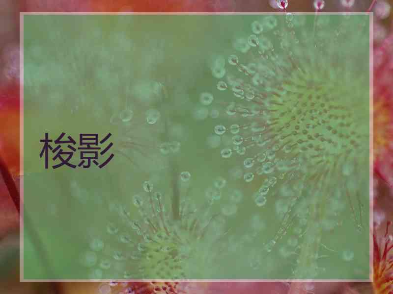 梭影