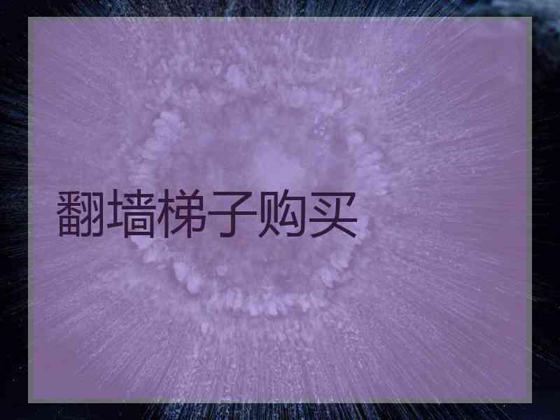 翻墙梯子购买