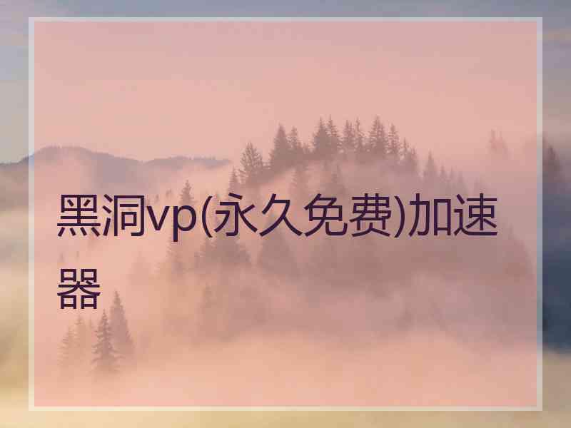 黑洞vp(永久免费)加速器