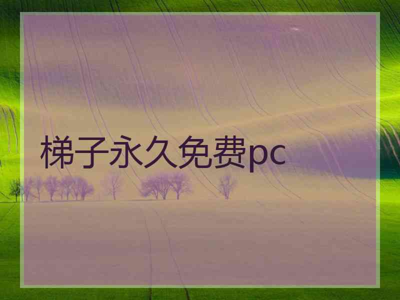梯子永久免费pc