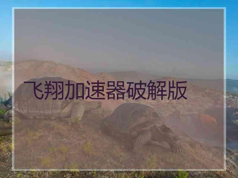 飞翔加速器破解版