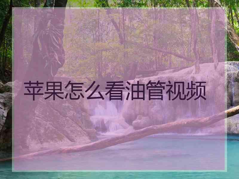苹果怎么看油管视频
