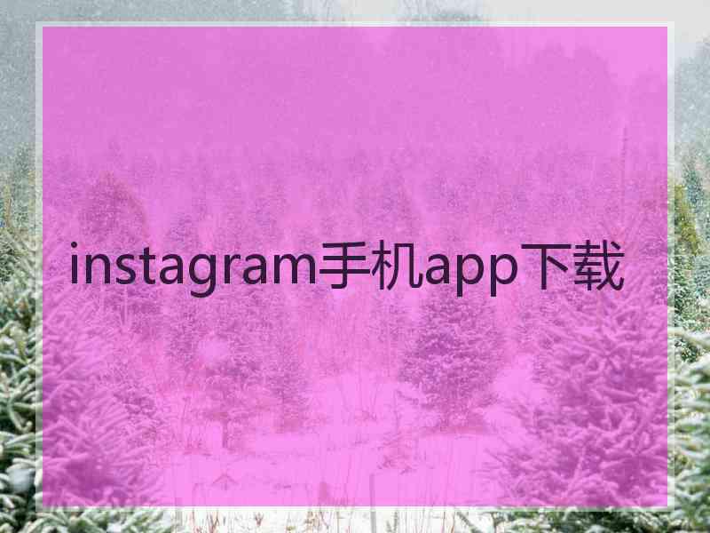 instagram手机app下载