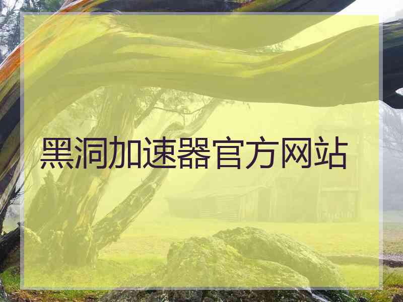 黑洞加速器官方网站