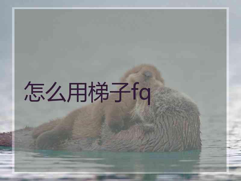 怎么用梯子fq