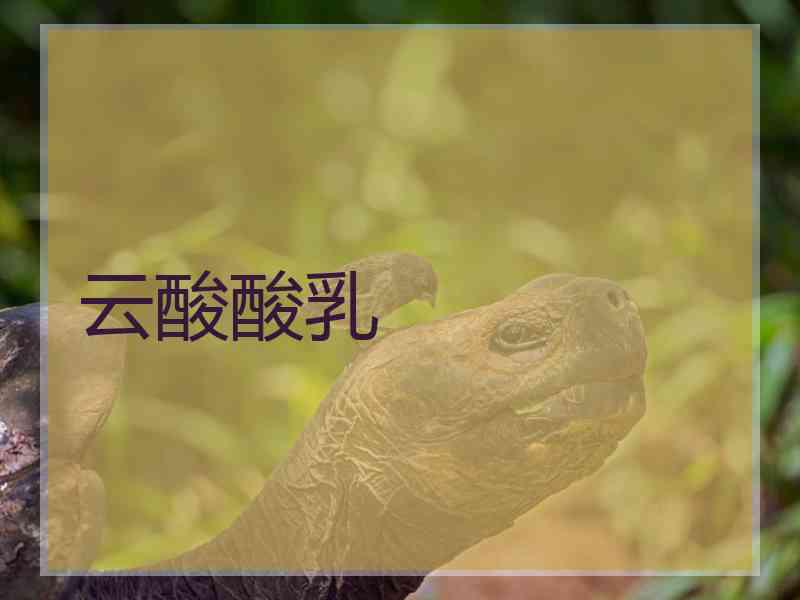 云酸酸乳
