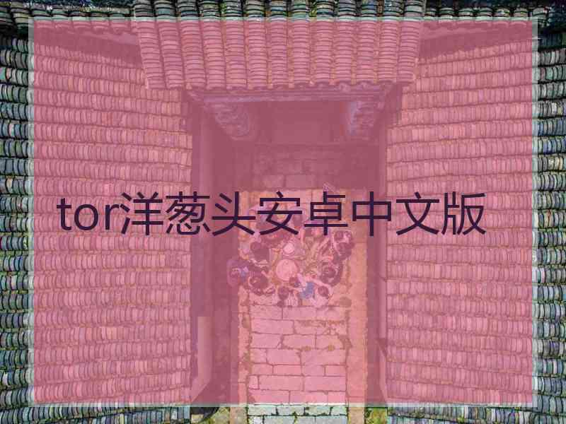 tor洋葱头安卓中文版