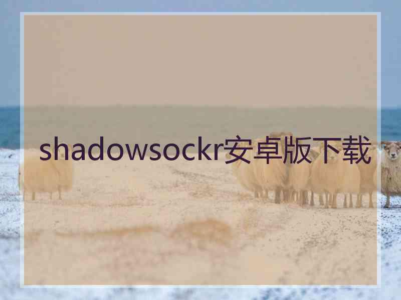 shadowsockr安卓版下载