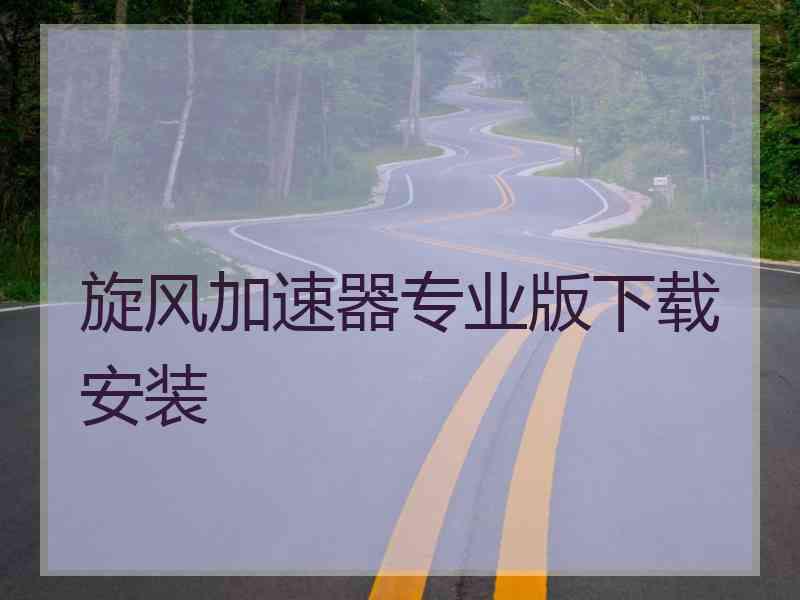 旋风加速器专业版下载安装