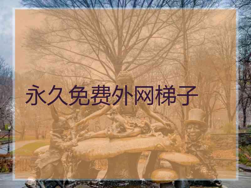 永久免费外网梯子