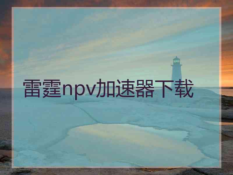 雷霆npv加速器下载