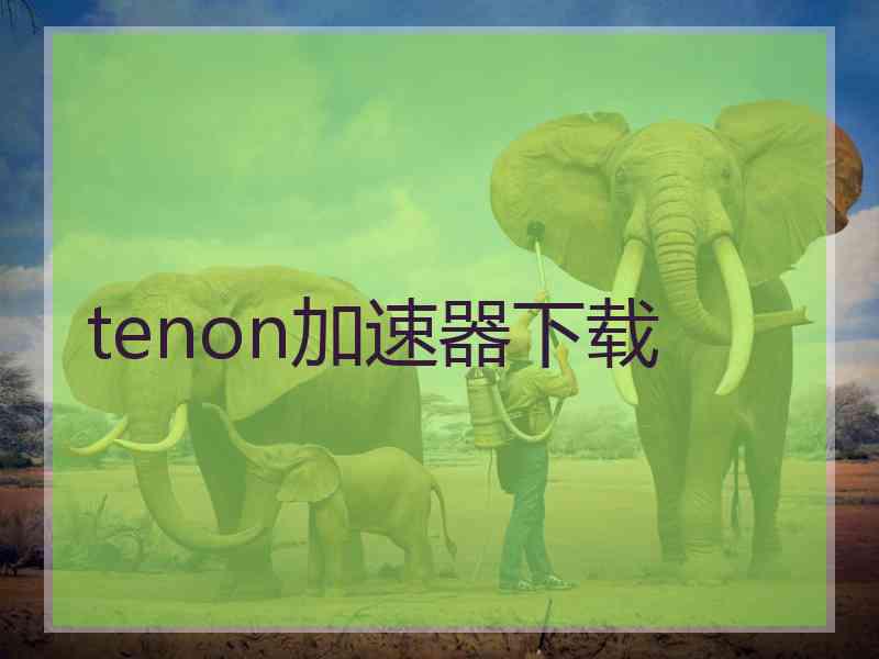 tenon加速器下载