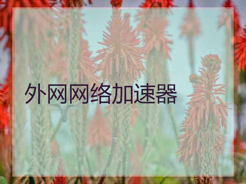 外网网络加速器