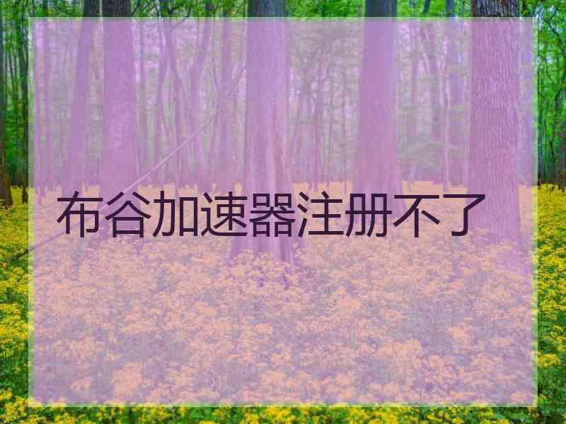 布谷加速器注册不了