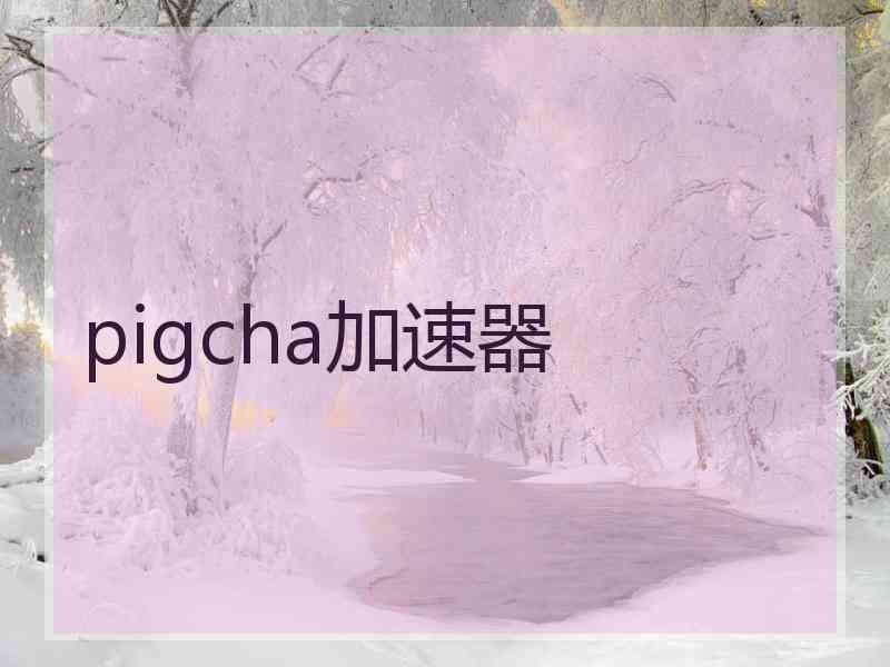 pigcha加速器