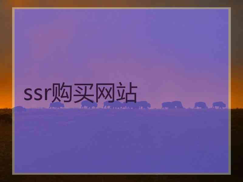 ssr购买网站